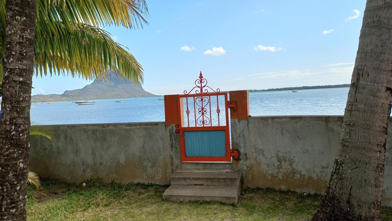 Seaview Studio - Ла-Ґулет Екстер'єр фото